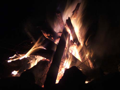 DSCF4779