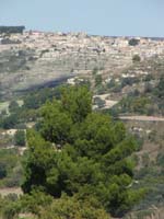 DSCF5240
